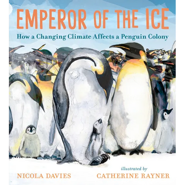 Emperor of the Ice: How a Changing Climate Affects a Penguin Colony