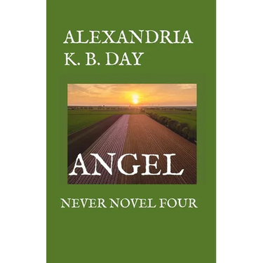 Angel: Never Novel Four: