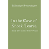 In the Cave of Knock Tearsa: Book Two in the Yellow Glass