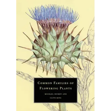 Common Families of Flowering Plants