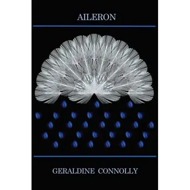 Aileron