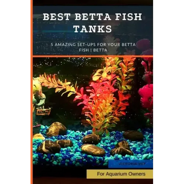 Best Betta Fish Tanks: 5 Amazing Set-Ups for Your Betta Fish Betta ...