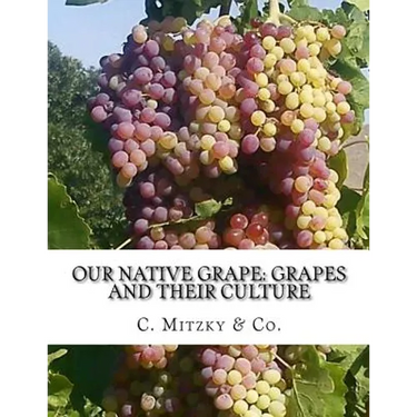 Our Native Grape: Grapes and Their Culture: A List of Old and New Grape Varieties