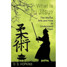 What Is Jiu Jitsu?: The Martial Arts And How To Understand Them