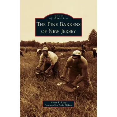Pine Barrens of New Jersey