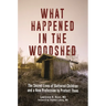 What Happened in the Woodshed: The Secret Lives of Battered Children and a New Profession to Protect Them