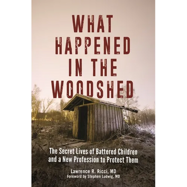 What Happened in the Woodshed: The Secret Lives of Battered Children and a New Profession to Protect Them