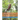 ISA Certified Arborist Unofficial Self-Practice Review Questions