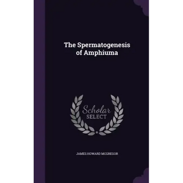 The Spermatogenesis of Amphiuma