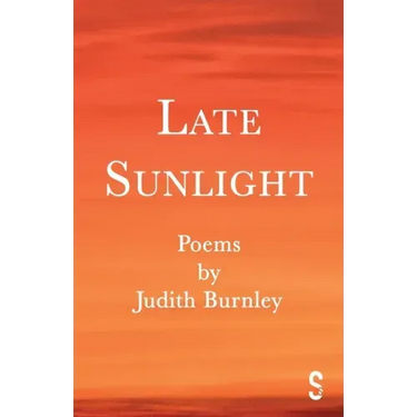 Late Sunlight