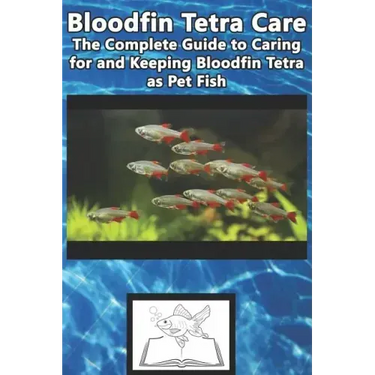 Bloodfin Tetra Care: The Complete Guide to Caring for and Keeping Bloodfin Tetra as Pet Fish