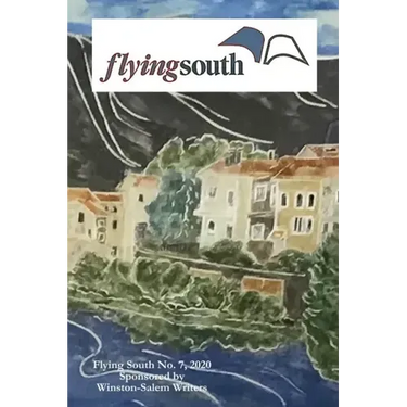 Flying South 2020