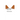 The Bridegroom Was a Dog