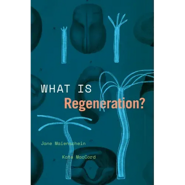 What Is Regeneration?