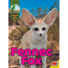 Fennec Fox