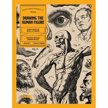 Drawing the Human Figure