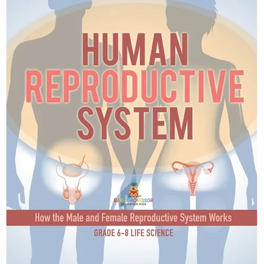 Human Reproductive System How the Male and Female Reproductive System Works Grade 6-8 Life Science