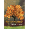 Comet Weather
