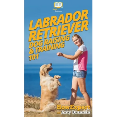 Labrador Retriever Dog Raising & Training 101