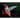 The Ruby-throated Hummingbird: A Photo Essay