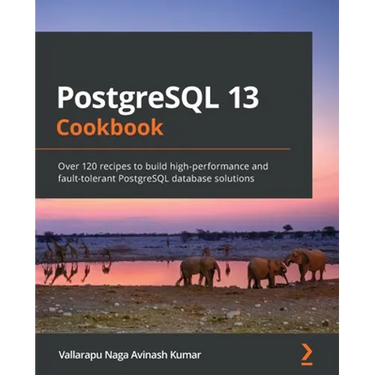 PostgreSQL 13 Cookbook: Over 120 recipes to build high-performance and fault-tolerant PostgreSQL database solutions