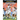 Miracle Moments in Soccer
