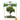 Trees and Shrubs