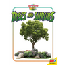 Trees and Shrubs