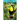Toucans