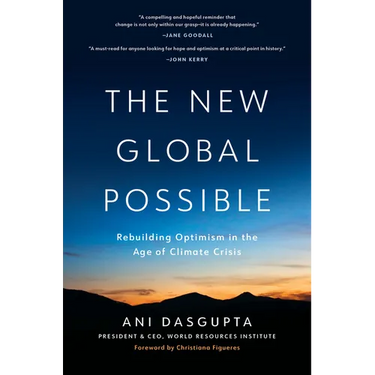 The New Global Possible: Rebuilding Optimism in the Age of Climate Crisis
