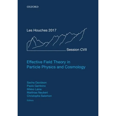 Effective Field Theory in Particle Physics and Cosmology: Lecture Notes of the Les Houches Summer School: Volume 108, July 2017