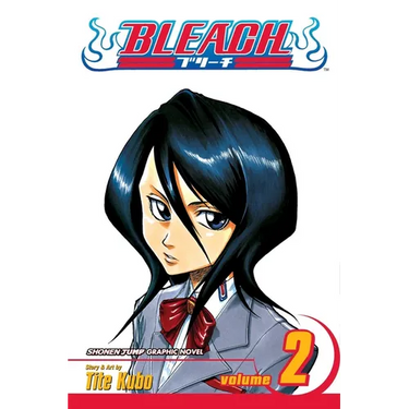 Bleach, Vol. 2