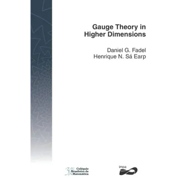 Gauge Theory in Higher Dimensions