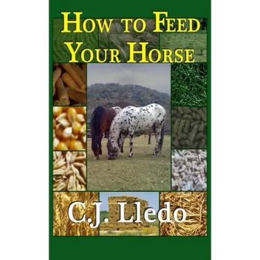 How To Feed Your Horse