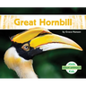 Great Hornbill