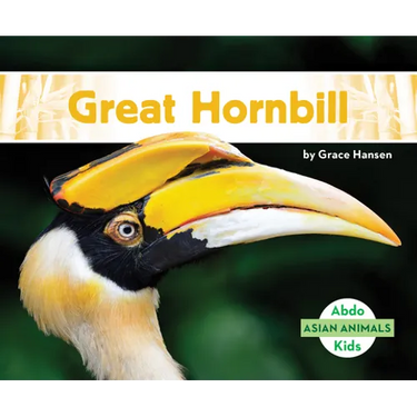 Great Hornbill