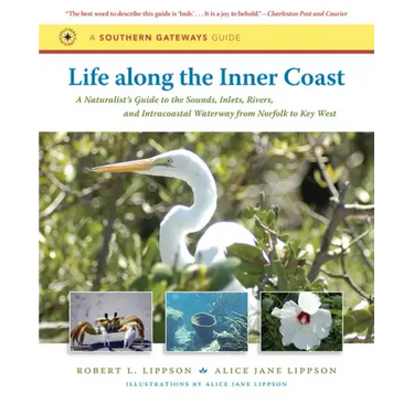 Life along the Inner Coast: A Naturalist's Guide to the Sounds, Inlets, Rivers, and Intracoastal Waterway from Norfolk to Key West