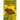 My First Book of Common Wisconsin Butterflies