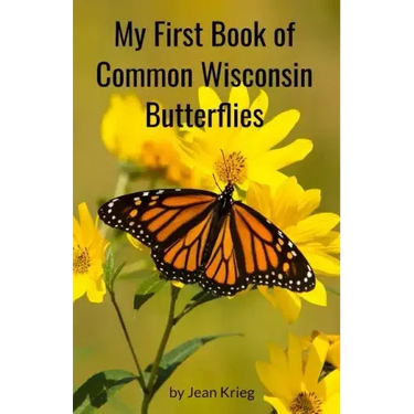 My First Book of Common Wisconsin Butterflies