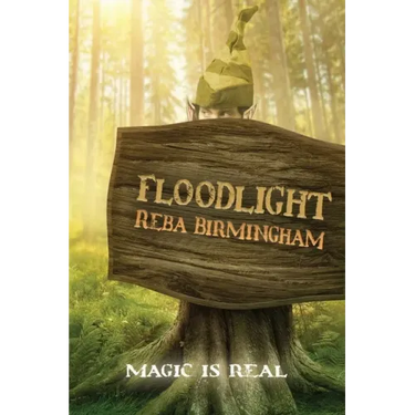Floodlight: Book One in the Hercynian Forest Series