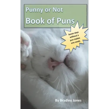 Punny or Not Book of Puns