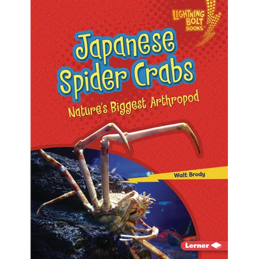 Japanese Spider Crabs: Nature's Biggest Arthropod