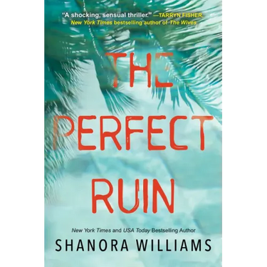 The Perfect Ruin: A Riveting New Psychological Thriller