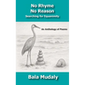 No Rhyme No Reason: Searching for Equanimity