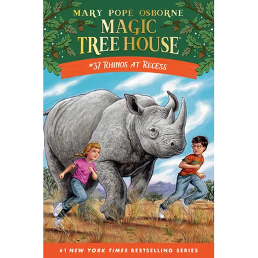 Rhinos at Recess
