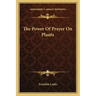 The Power of Prayer on Plants