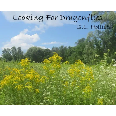 Looking For Dragonflies
