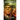 Star Trek: Cast No Shadow