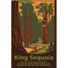 King Sequoia: The Tree That Inspired a Nation, Created Our National Park System, and Changed the Way We Think about Nature