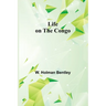 Life on the Congo